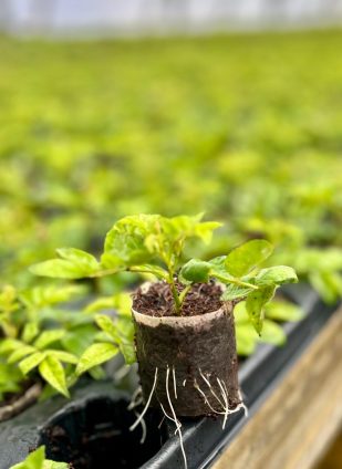 WhatsApp Image 2025-01-28 at 09.29.27 (1)